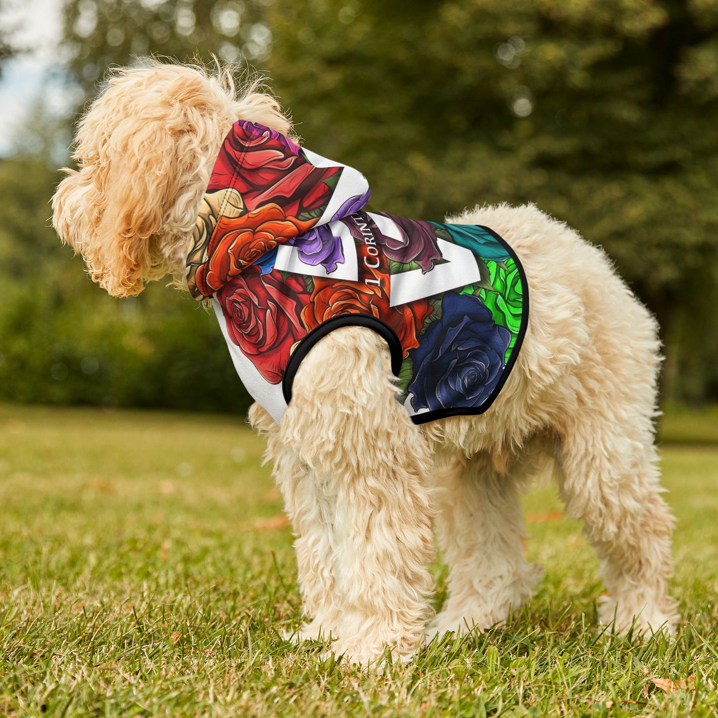 Roses Love Frame Pet Hoodie