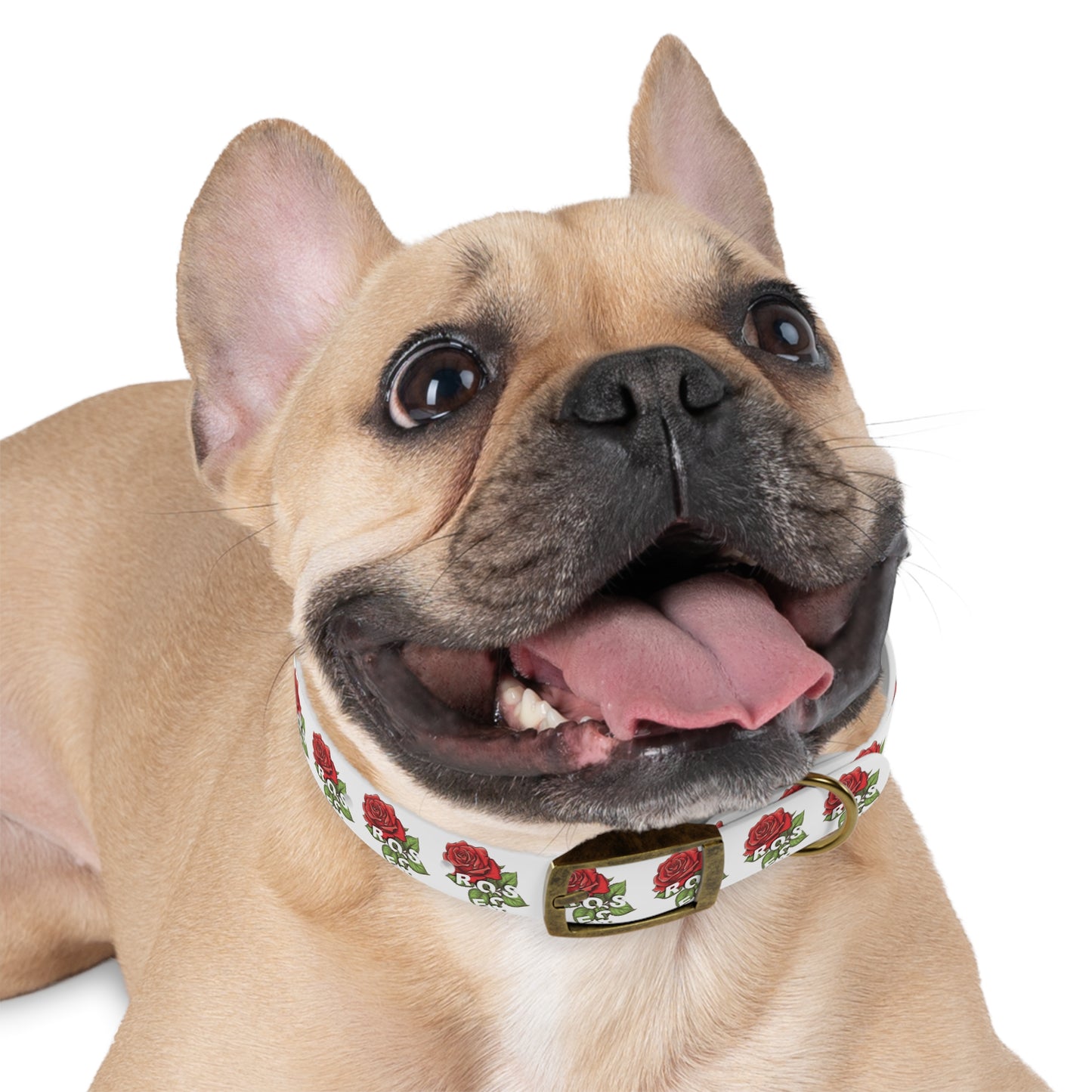 Roses Red Dog Collar