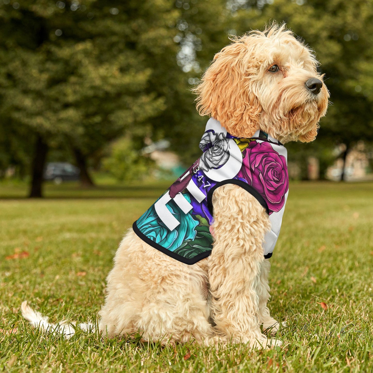 Roses Love Frame Pet Hoodie