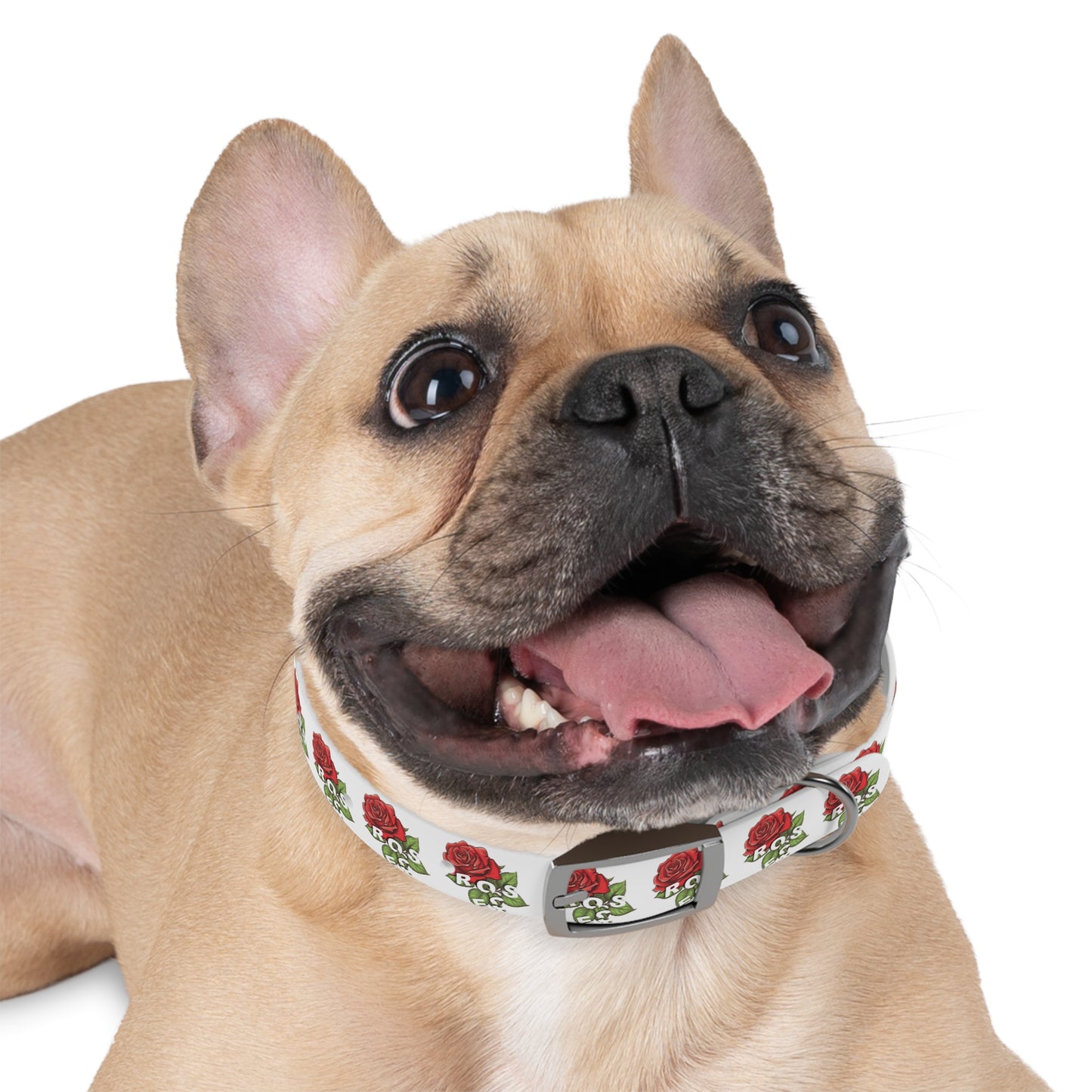 Roses Red Dog Collar
