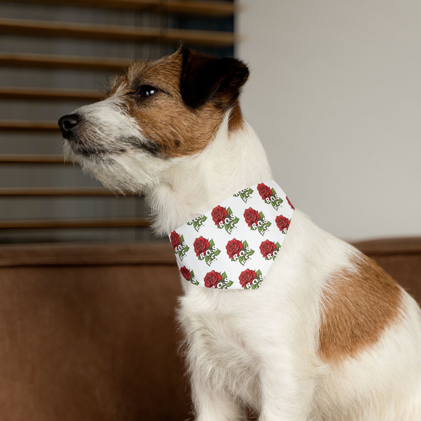 Roses Red Pet Bandana