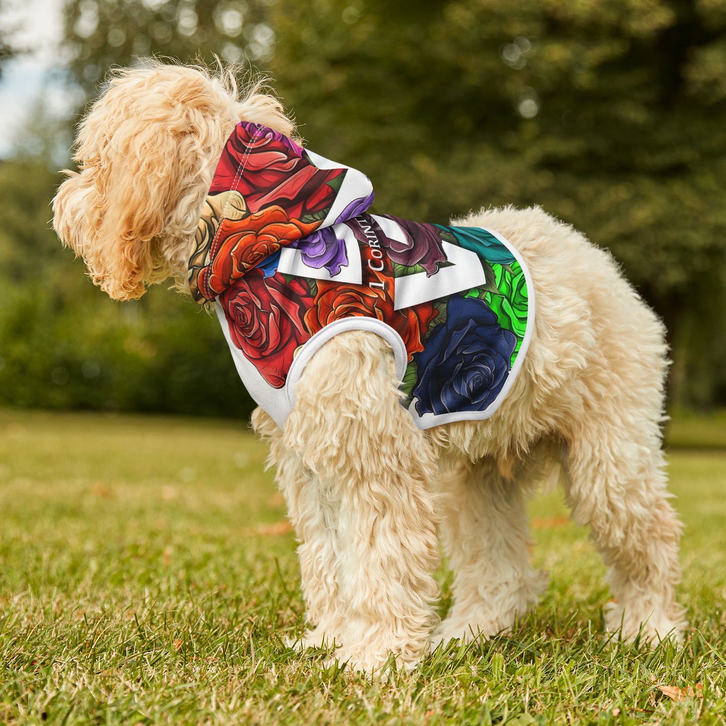 Roses Love Frame Pet Hoodie